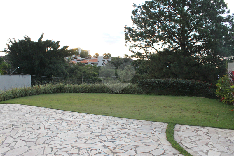 Foto REO490503