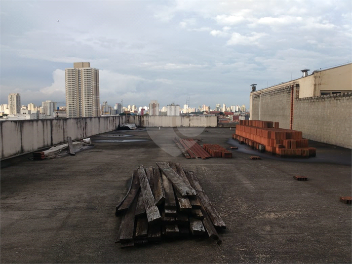 Foto REO490886