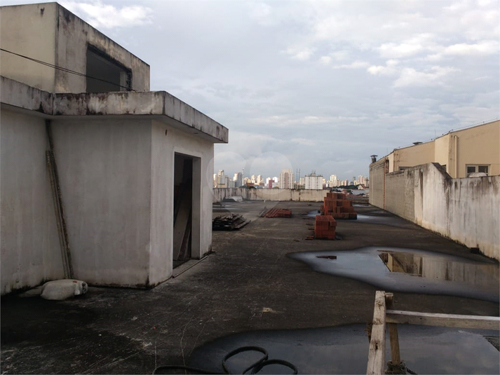 Foto REO490886