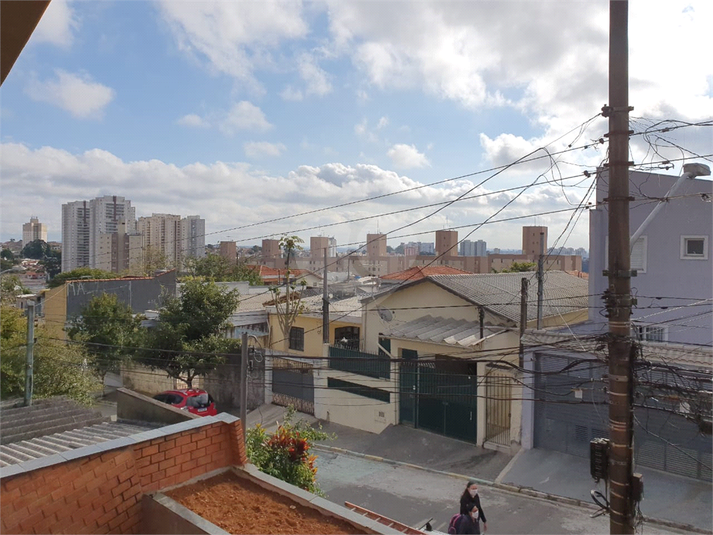 Foto REO490969