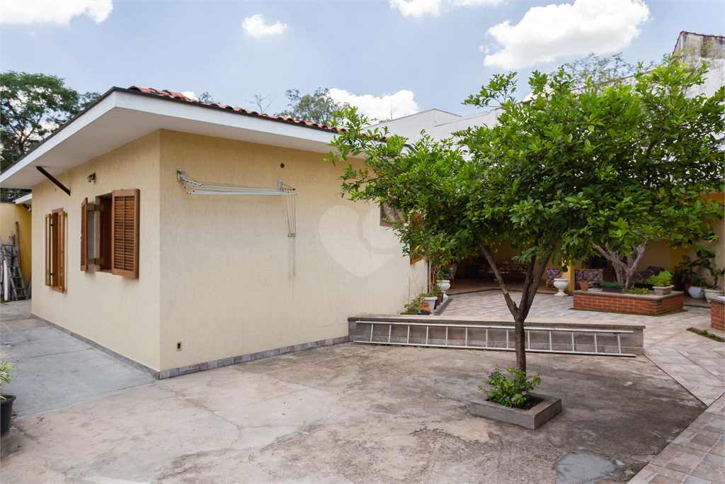 Venda Casa térrea São Paulo Alto Da Lapa REO491055 41