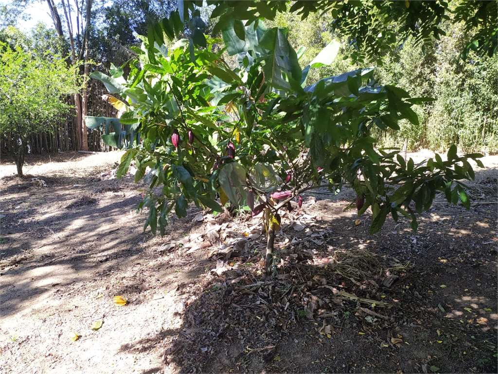 Venda Chácara São Paulo Chácara Cocaia REO491273 15