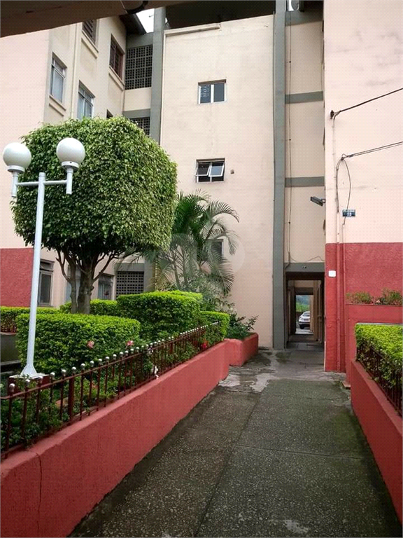 Venda Apartamento São Paulo Vila Nova Cachoeirinha REO491384 13