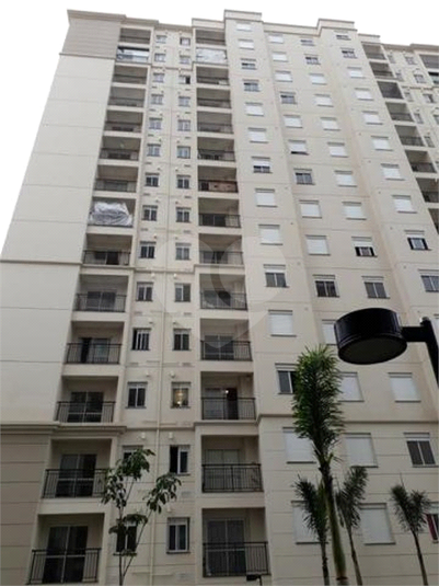 Venda Apartamento São Paulo Cambuci REO491531 1