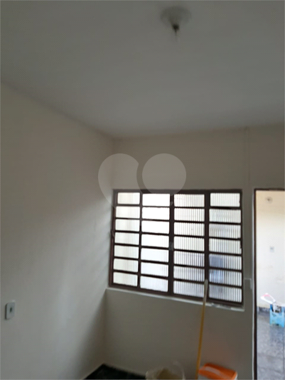 Foto REO491683