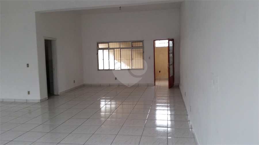 Foto REO492168