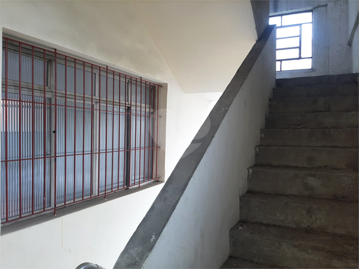 Foto REO492168