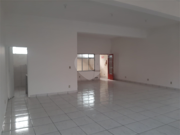 Foto REO492168