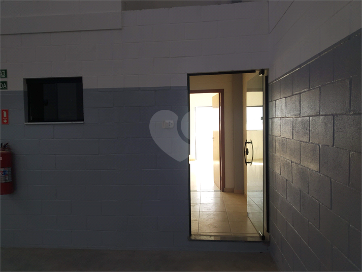 Foto REO492362