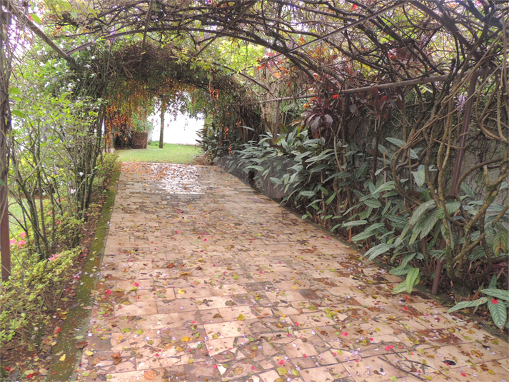 Foto REO492439