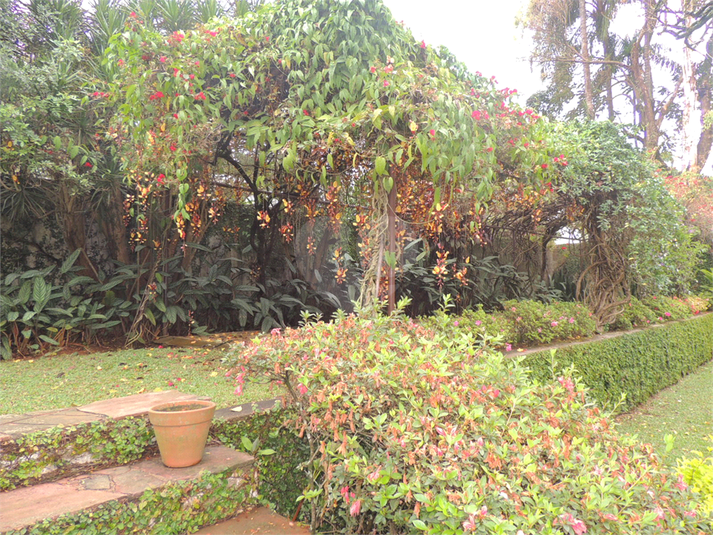 Foto REO492439