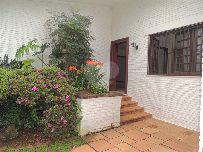 Foto REO492439