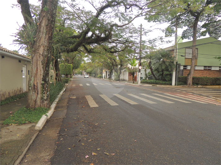 Foto REO492439