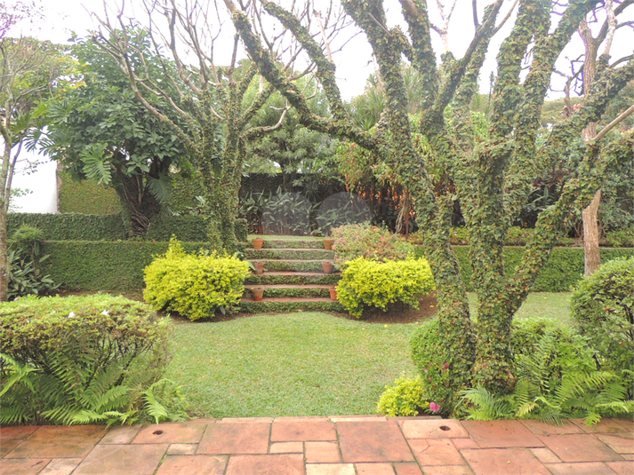 Foto REO492439