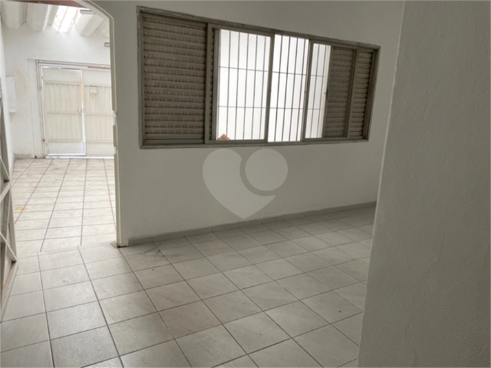 Foto REO492657