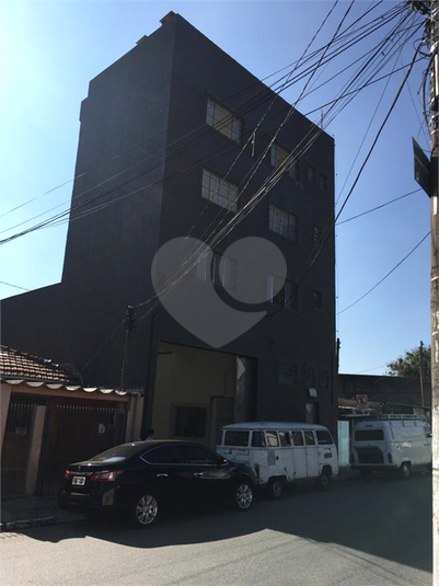 Foto REO492760