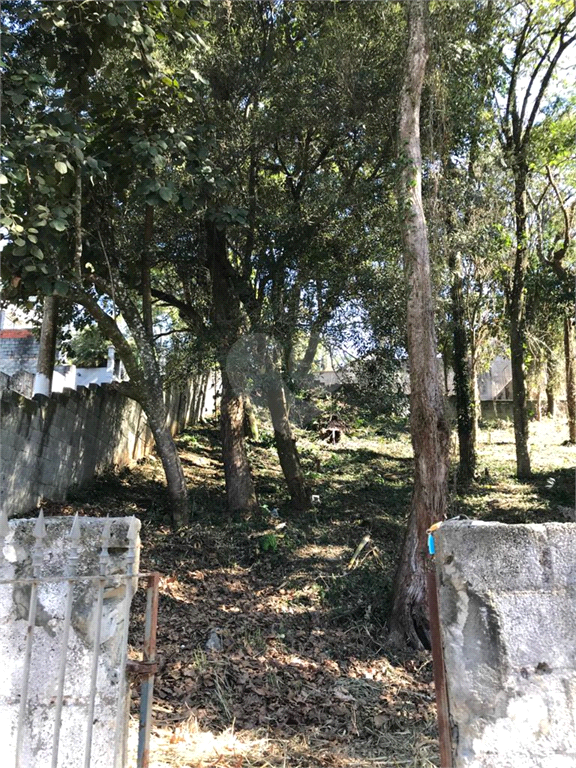 Venda Terreno São Paulo Horto Florestal REO493070 30