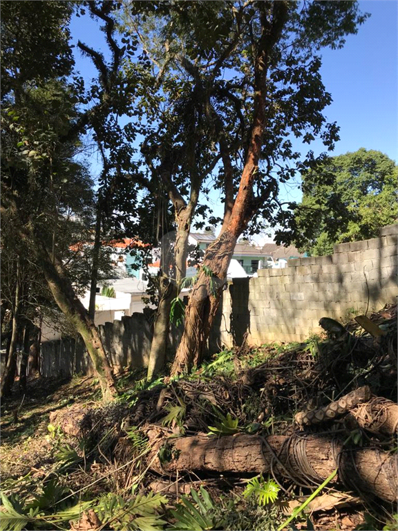 Venda Terreno São Paulo Horto Florestal REO493070 29