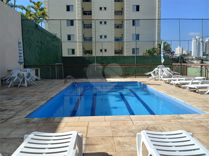 Foto REO493187