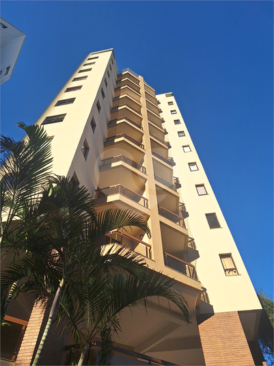 Foto REO493187