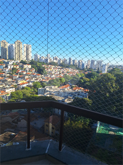 Foto REO493187