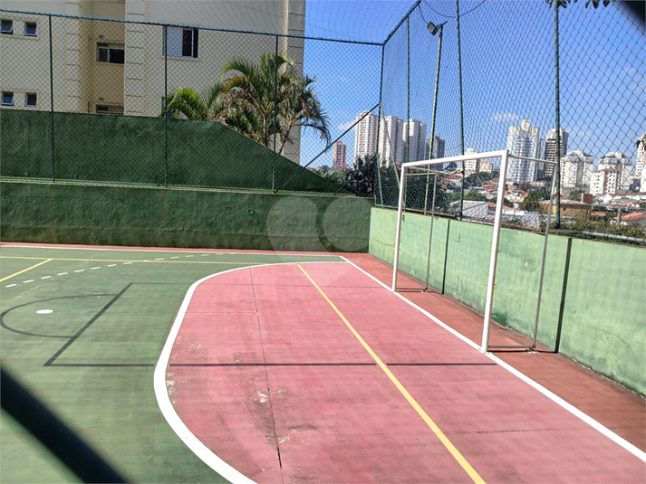 Foto REO493187