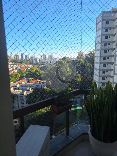 Foto REO493187