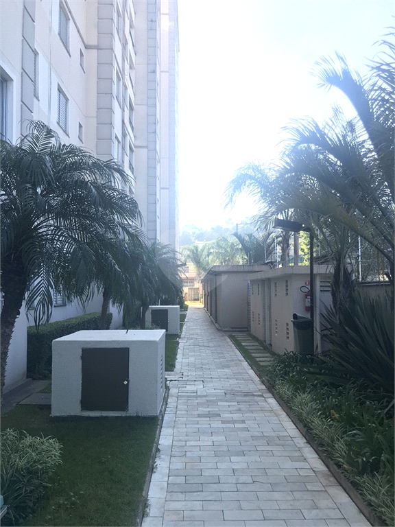 Venda Apartamento São Paulo Jardim Santa Terezinha (zona Leste) REO493400 2