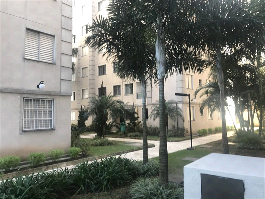 Venda Apartamento São Paulo Jardim Santa Terezinha (zona Leste) REO493400 5