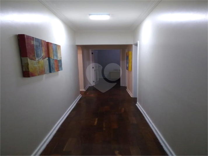 Foto REO493626