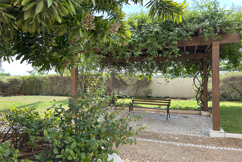Foto REO49381