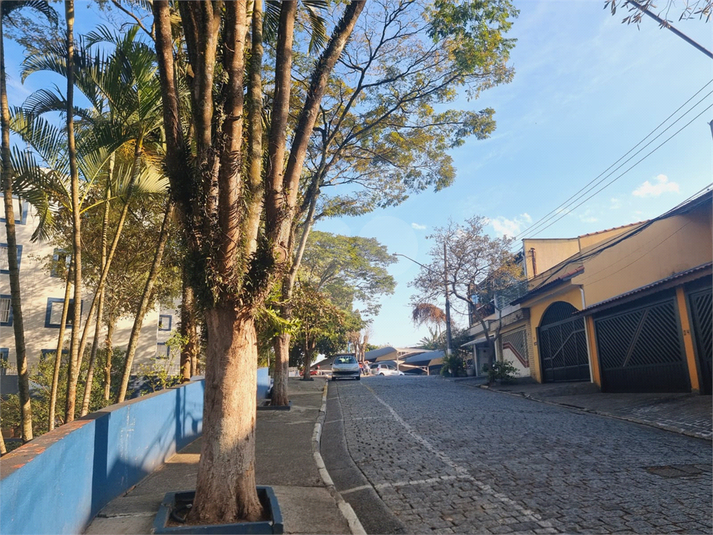 Foto REO493911