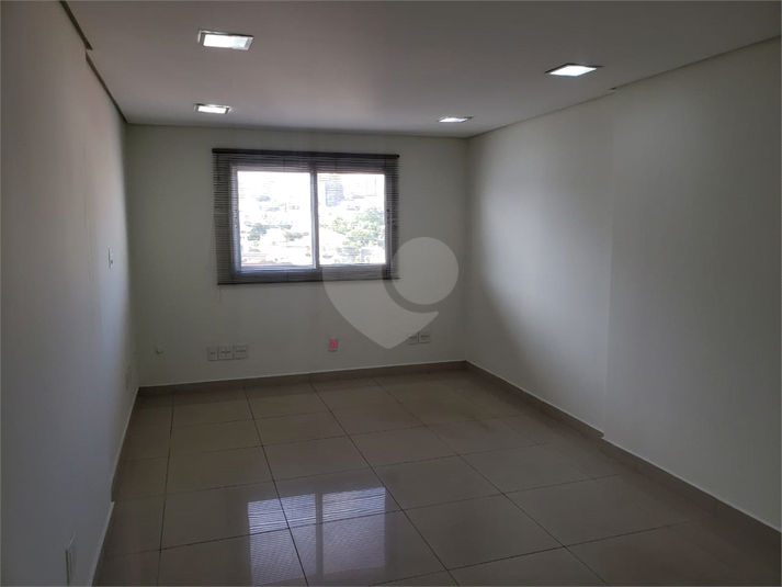 Foto REO494187