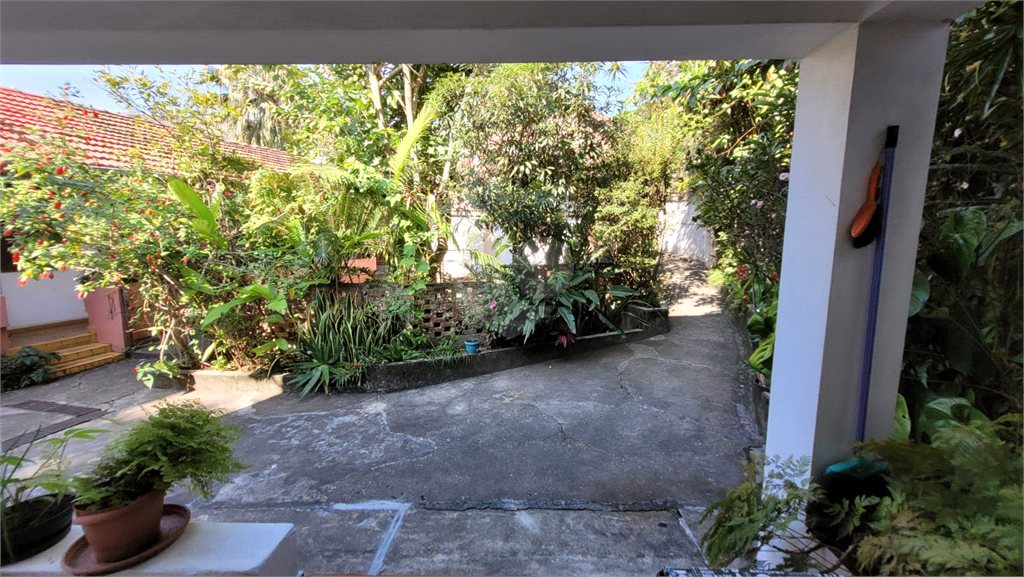 Venda Casa térrea São Paulo Jardim Petrópolis REO494474 37