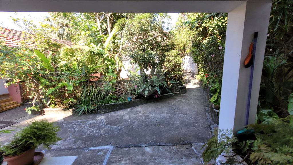 Venda Casa térrea São Paulo Jardim Petrópolis REO494474 25