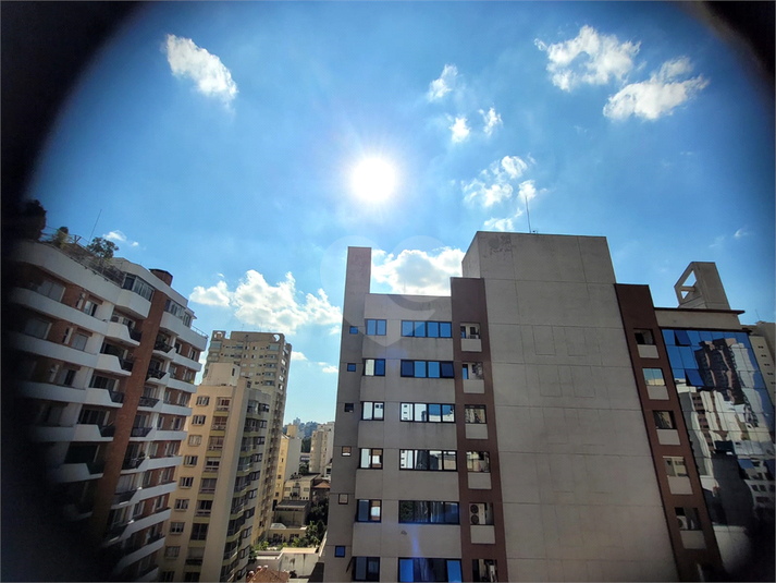 Foto REO495672