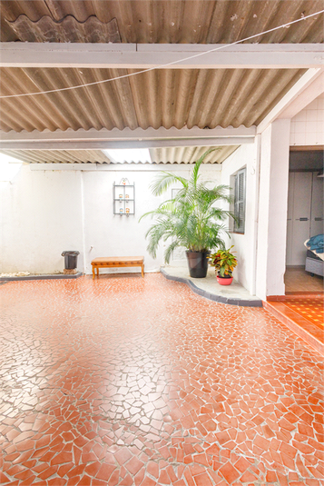 Foto REO496058