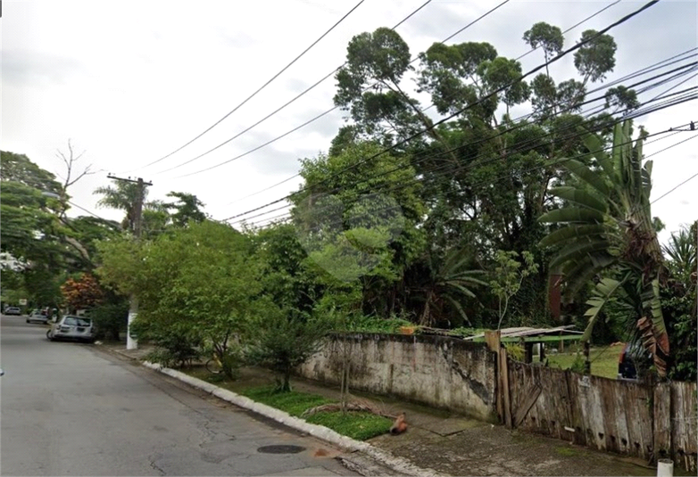Foto REO496410