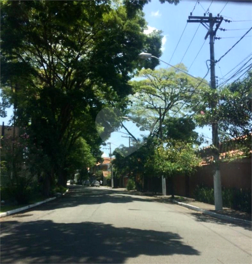 Foto REO496410