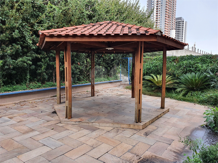 Foto REO496457