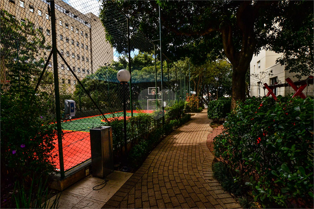 Venda Apartamento São Paulo Cambuci REO496565 74