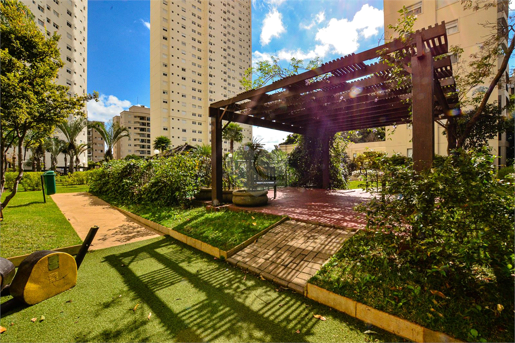 Venda Apartamento São Paulo Cambuci REO496565 65