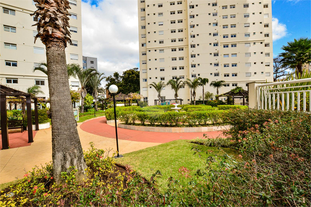 Venda Apartamento São Paulo Cambuci REO496565 69