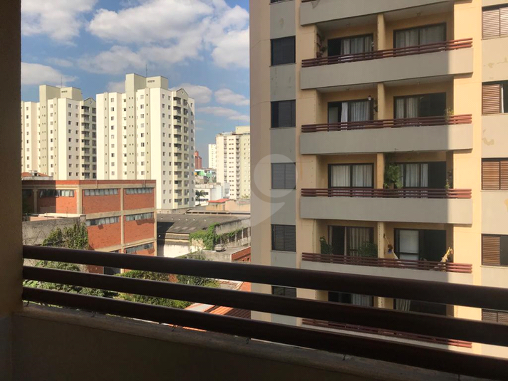 Foto REO496624