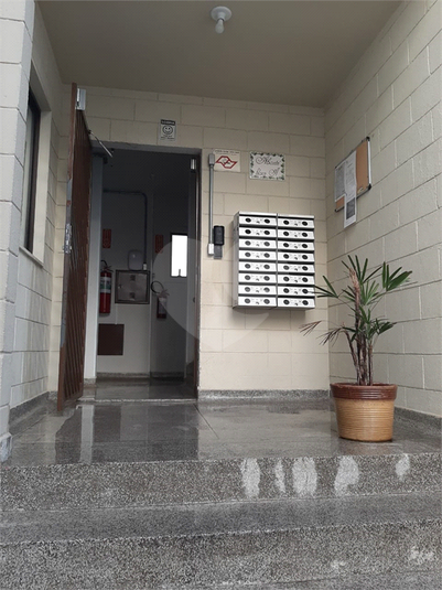 Foto REO497757