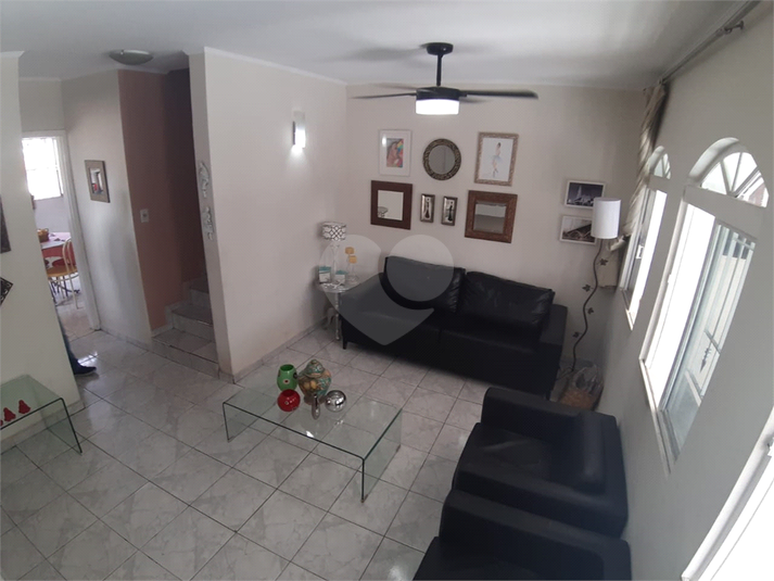 Foto REO497853