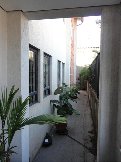 Foto REO498080