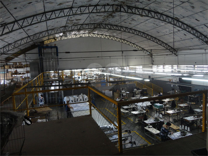 Foto REO498080