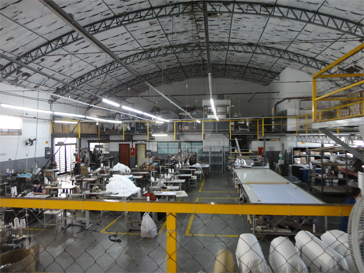 Foto REO498080
