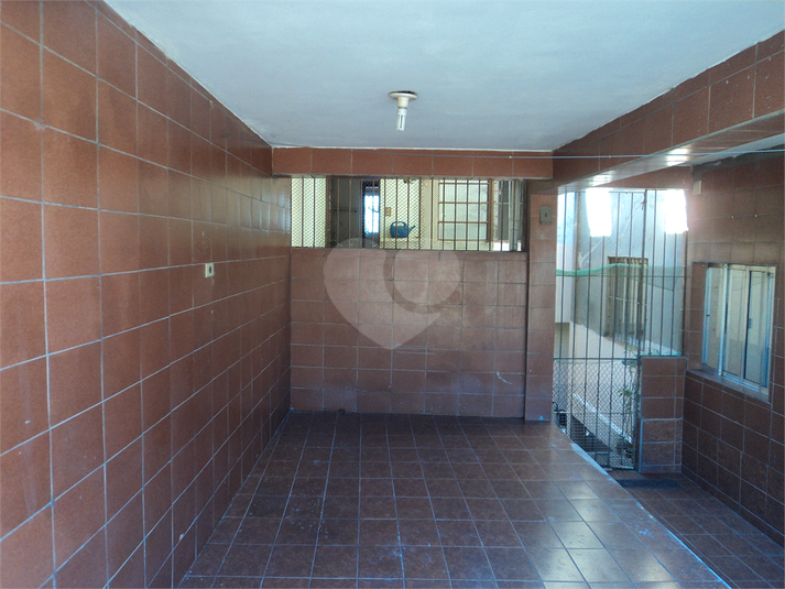 Foto REO498283